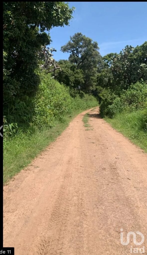 SE VENDE TERRENO DE 12 HECTAREAS EN ATEMAJAC DE BRIZUELA JALISCO