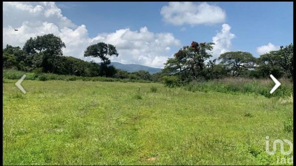 SE VENDE TERRENO DE 12 HECTAREAS EN ATEMAJAC DE BRIZUELA JALISCO