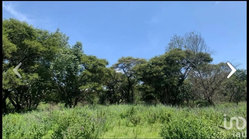 SE VENDE TERRENO DE 12 HECTAREAS EN ATEMAJAC DE BRIZUELA JALISCO