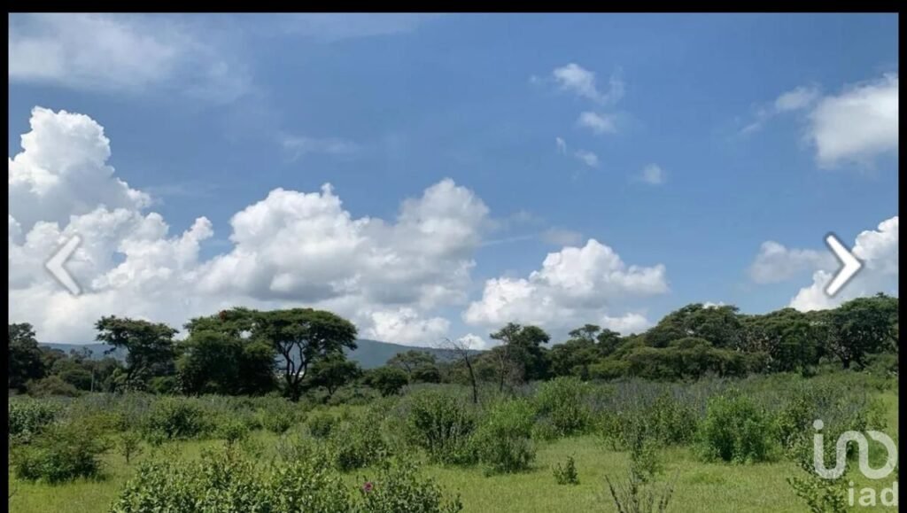 SE VENDE TERRENO DE 12 HECTAREAS EN ATEMAJAC DE BRIZUELA JALISCO