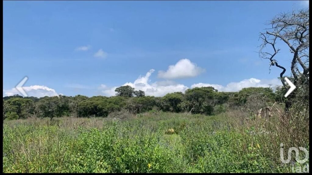 SE VENDE TERRENO DE 12 HECTAREAS EN ATEMAJAC DE BRIZUELA JALISCO