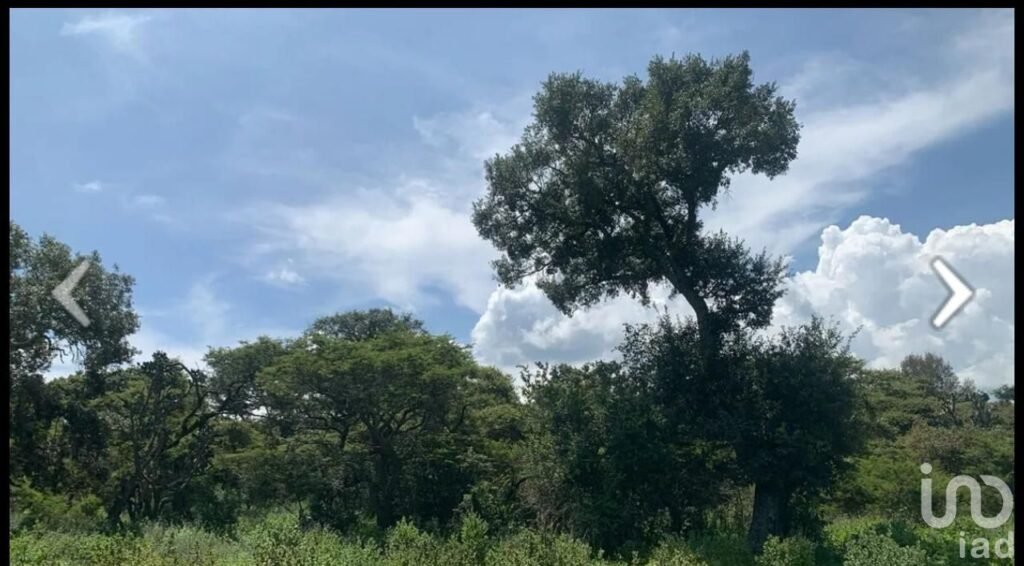 SE VENDE TERRENO DE 12 HECTAREAS EN ATEMAJAC DE BRIZUELA JALISCO