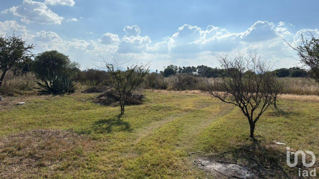 Venta de Oportunidad de Inversion en Terreno Rustico de uso mixto, La Granada, Guanajuato