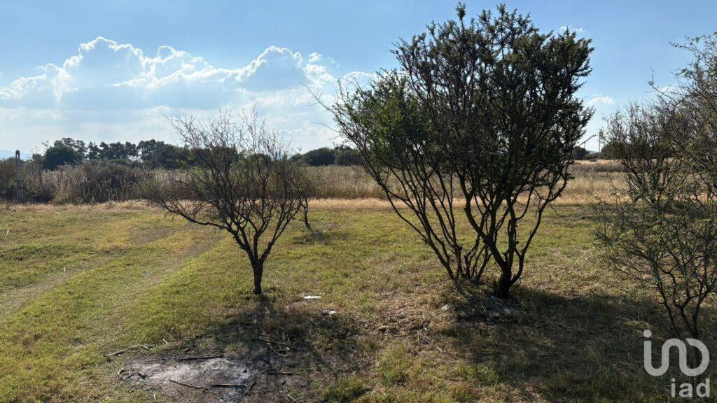 Venta de Oportunidad de Inversion en Terreno Rustico de uso mixto, La Granada, Guanajuato
