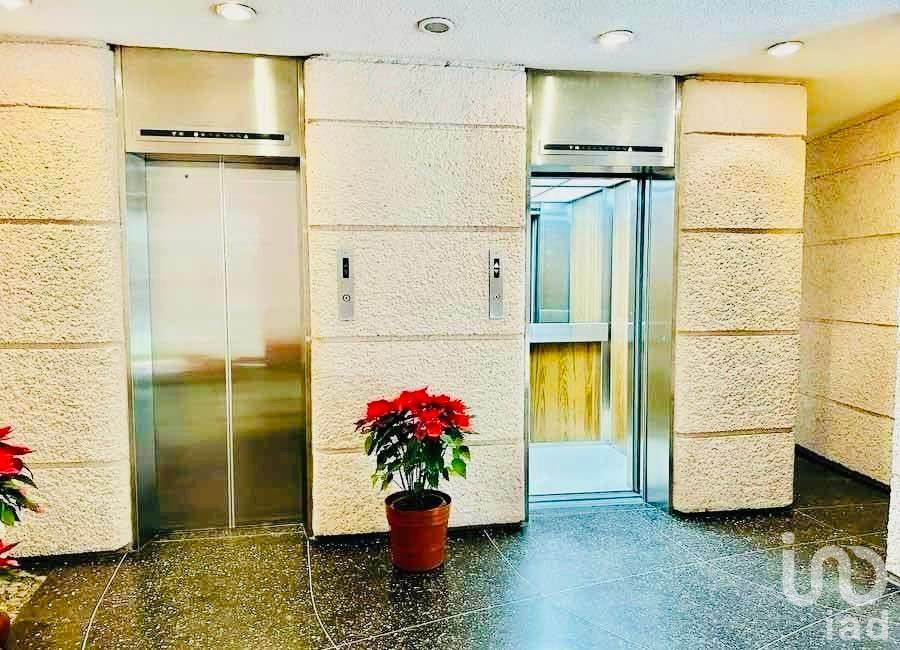 Vive San José Insurgentes link