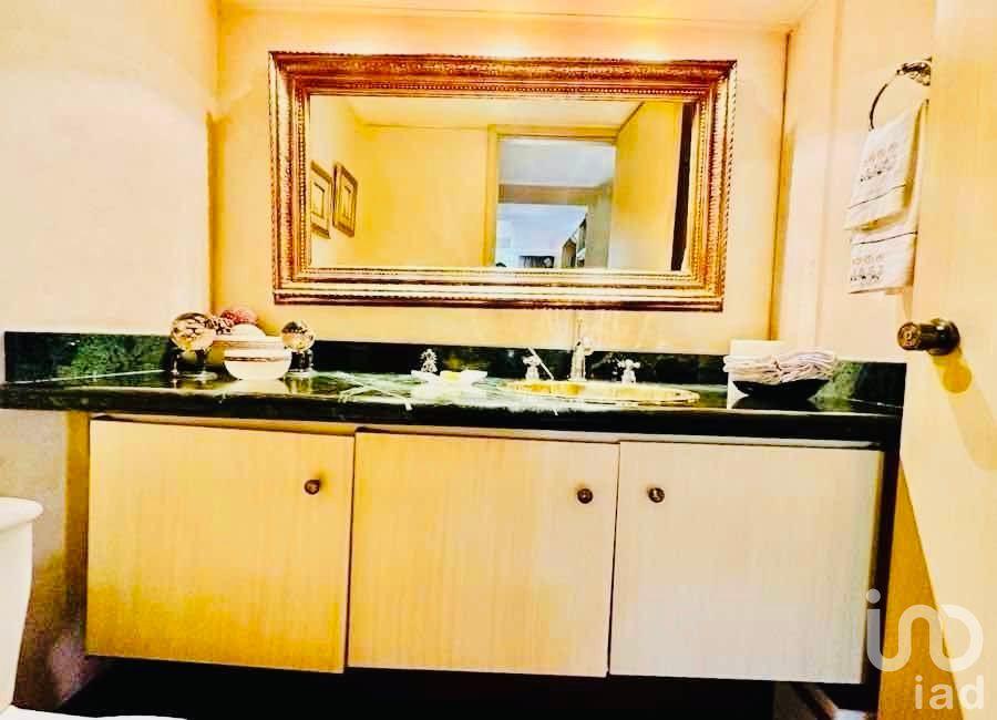 Vive San José Insurgentes link