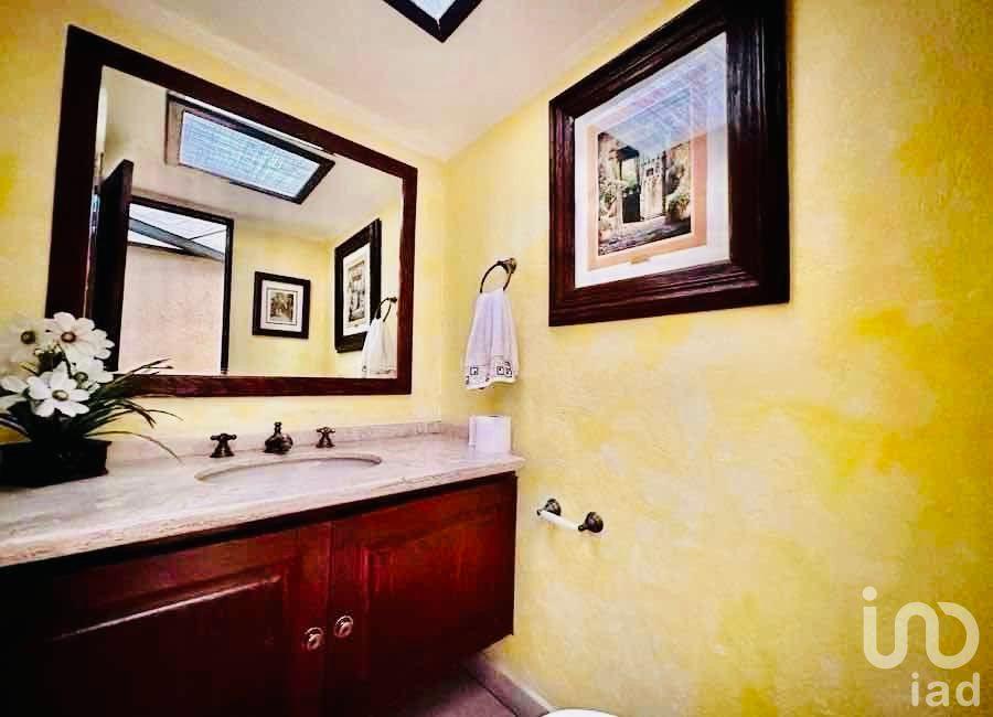 Vive San José Insurgentes link