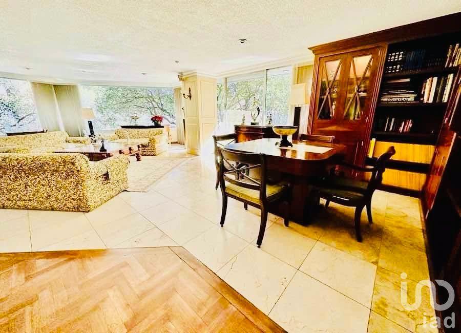 Vive San José Insurgentes link