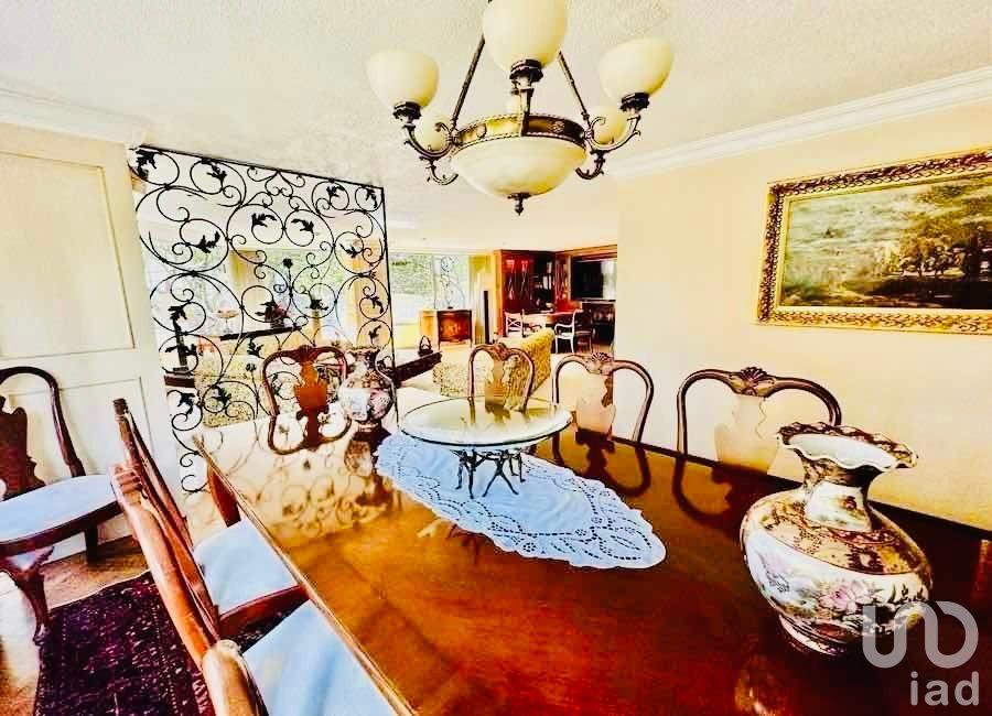 Vive San José Insurgentes link