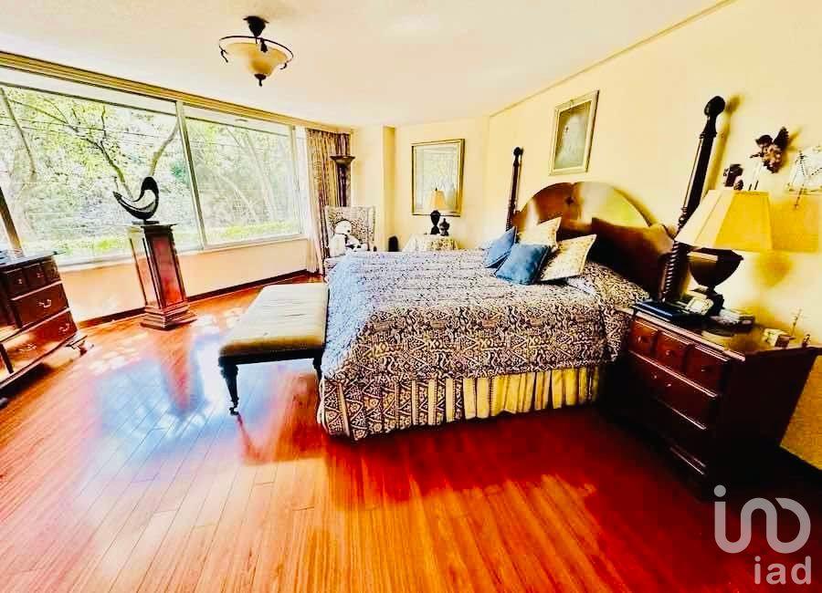 Vive San José Insurgentes link