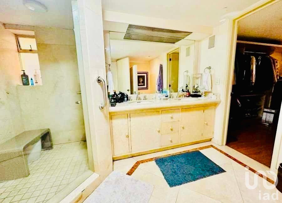 Vive San José Insurgentes link