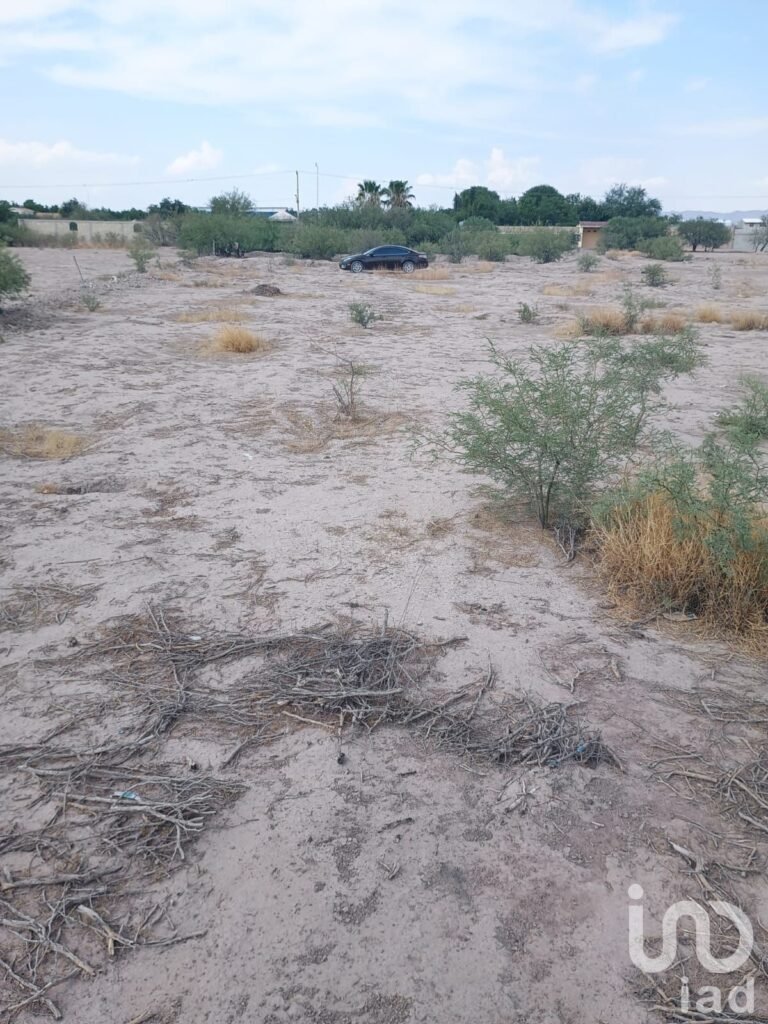 Terreno en venta en Ejido La Concha, Torreón, Coahuila