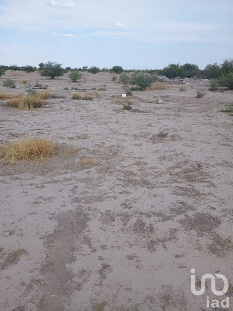 Terreno en venta en Ejido La Concha, Torreón, Coahuila