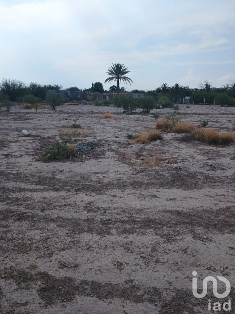 Terreno en venta en Ejido La Concha, Torreón, Coahuila - 2251557 terreno en venta terreno en venta en ejido la concha torreon coahuila 250287