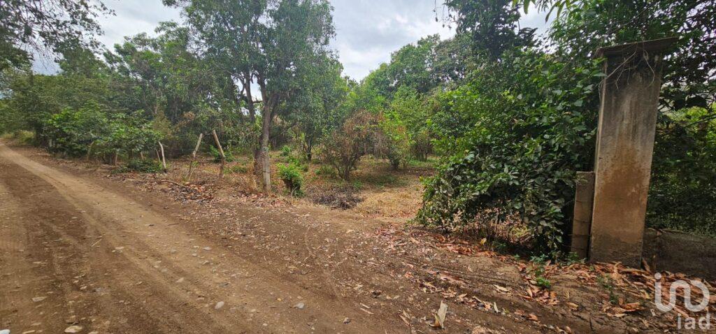 TERRENO RUSTICO EN VENTA CHIAPA DE CORZO