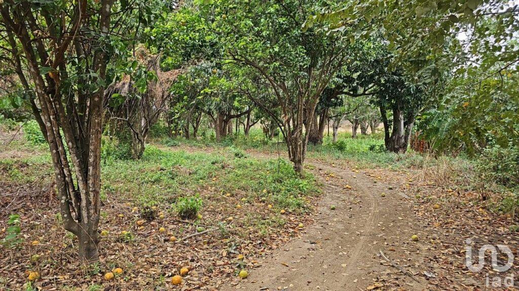 TERRENO RUSTICO EN VENTA CHIAPA DE CORZO