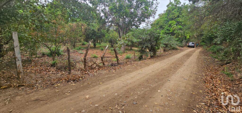 TERRENO RUSTICO EN VENTA CHIAPA DE CORZO