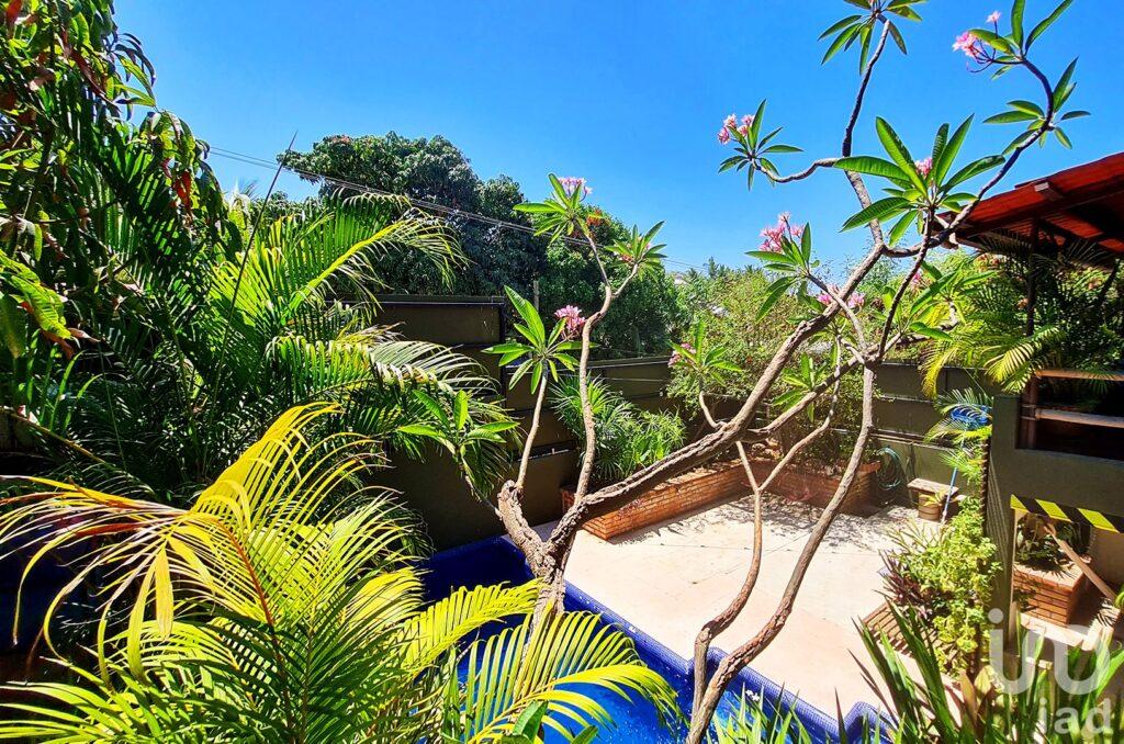 CASA CON ALBERCA Y VISTA AL MAR + 2 DEPARTAMENTOS ESPACIOSOS – ¡OPORTUNIDAD ÚNICA!