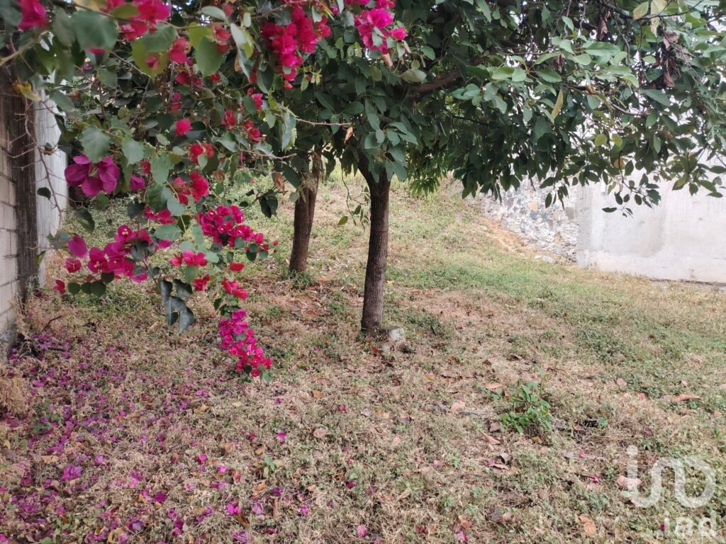 Terreno en Venta en la Colonia Lázaro Cárdenas (El empalme) en Yautepec, Morelos.