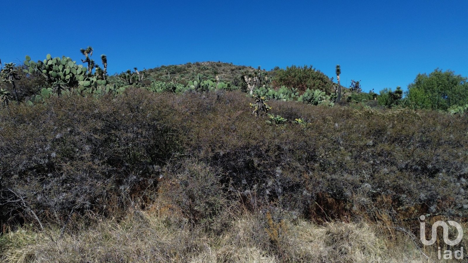 Terreno en zona de crecimiento a 2 minutos de Villa Airosa, Bld Colosio
