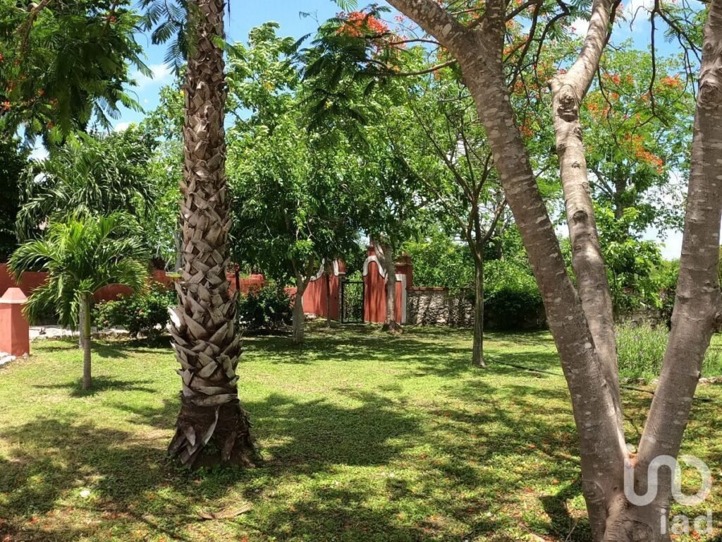 TERRENO EN VENTA AL NORTE DEL ESTADO DE YUCATÁN, EN HACIENDA SAN DIEGO PETZEBALAM