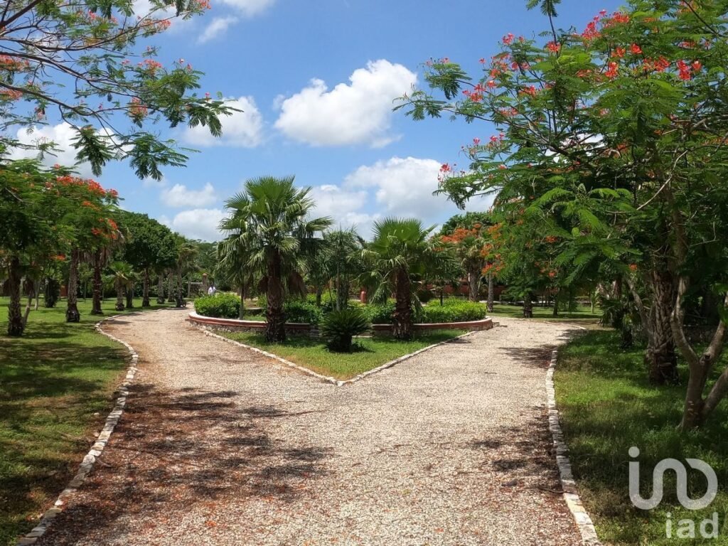 TERRENO EN VENTA AL NORTE DEL ESTADO DE YUCATÁN, EN HACIENDA SAN DIEGO PETZEBALAM