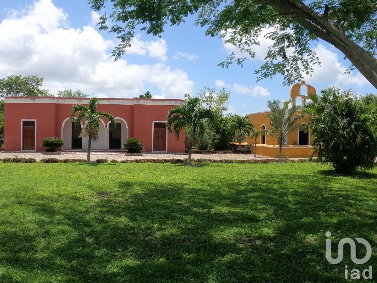 TERRENO EN VENTA AL NORTE DEL ESTADO DE YUCATÁN, EN HACIENDA SAN DIEGO PETZEBALAM