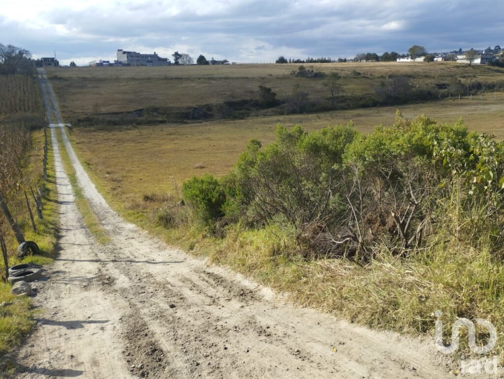 Terreno en Venta en Col. San Mateo Capulhuac, Otzolotepec, México