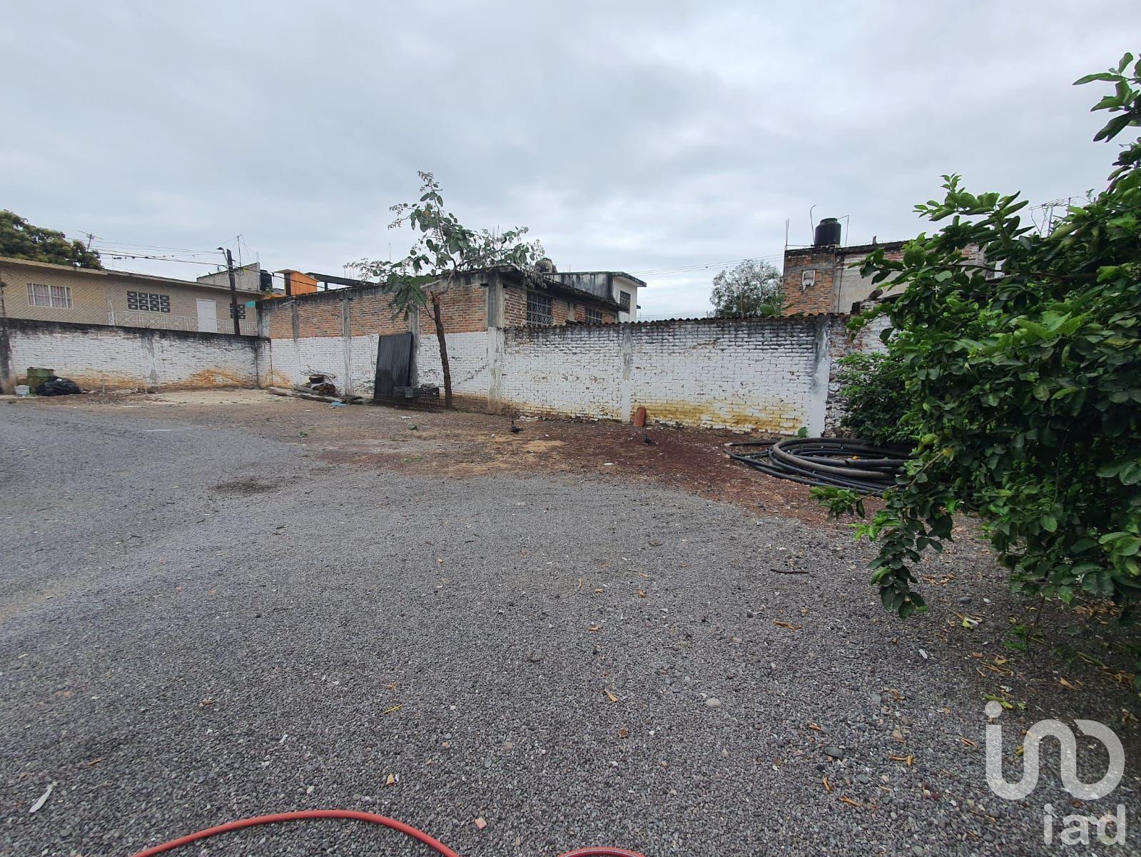 Renta de terreno en Actopan Veracruz centro