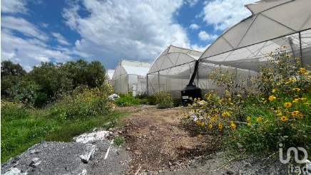 RANCHO EN VENTA EN SANTA CATARINA AYOTZINGO ESTADO DE MEXICO