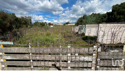 TERRENO EN VENTA EN SANTA CATARINA AYOTZINGO , CHALCO EDO DE MEXICO
