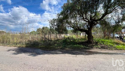 TERRENO EN VENTA EN SANTA CATARINA AYOTZINGO , CHALCO EDO DE MEXICO