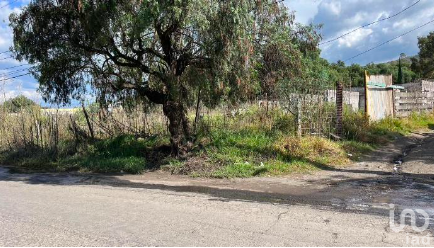 TERRENO EN VENTA EN SANTA CATARINA AYOTZINGO , CHALCO EDO DE MEXICO