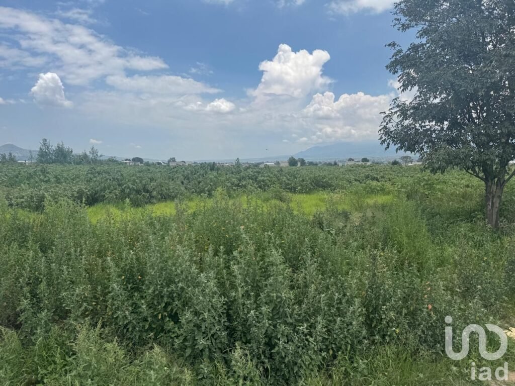 VENTA DE TERRENO EN CHALCO ESTADO DE MEXICO