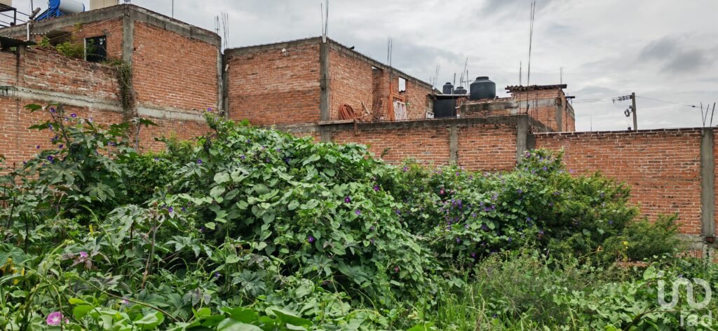 VENTA terreno habitacional, 301 m², Olimpo, San Miguel de Allende