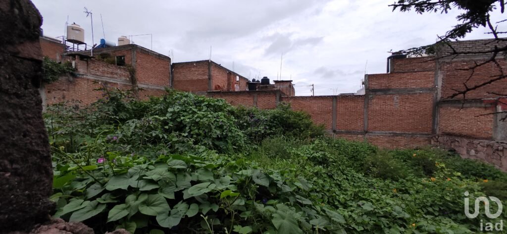 VENTA terreno habitacional, 301 m², Olimpo, San Miguel de Allende