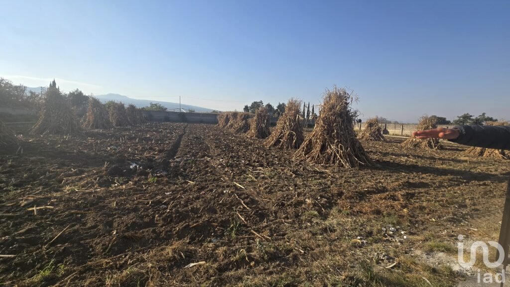 Terreno en venta en Tenango del Aire San Juan Coxtocan