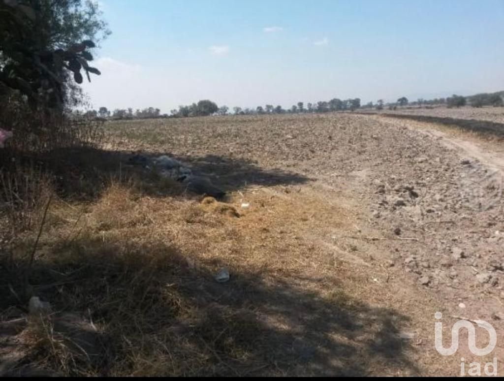 VENDO TERRENO INDUSTRIAL A PRECIO DE OPORTUNIDAD , 10 HECTAREAS EN ZUMPANGO CON USO ICS