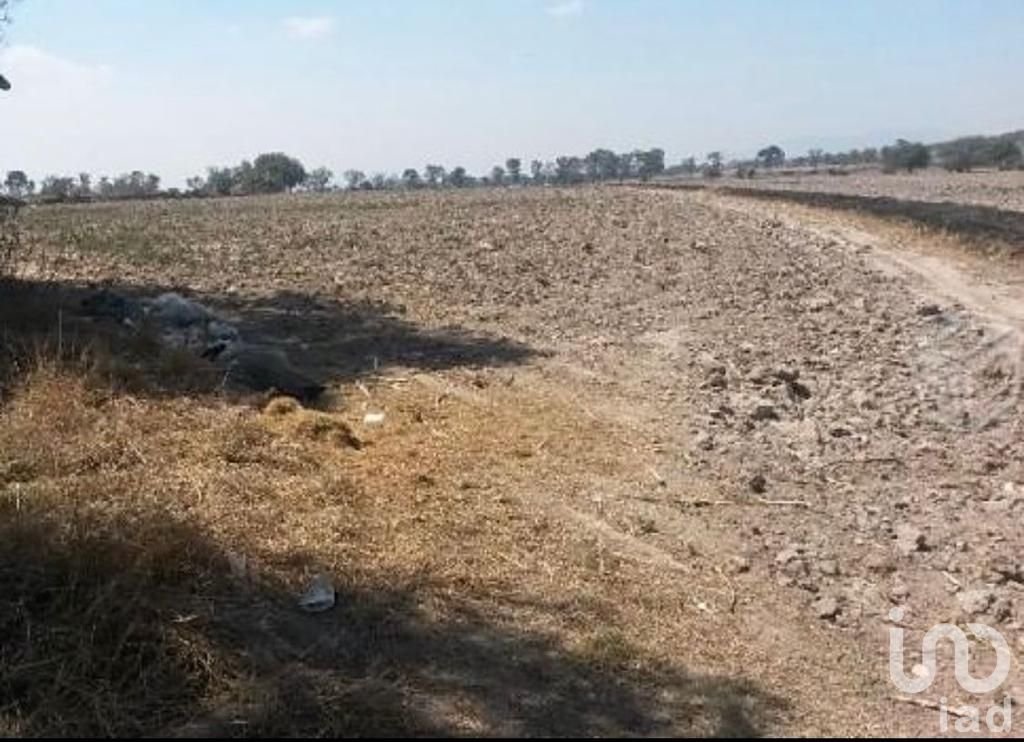 VENDO TERRENO INDUSTRIAL A PRECIO DE OPORTUNIDAD , 10 HECTAREAS EN ZUMPANGO CON USO ICS