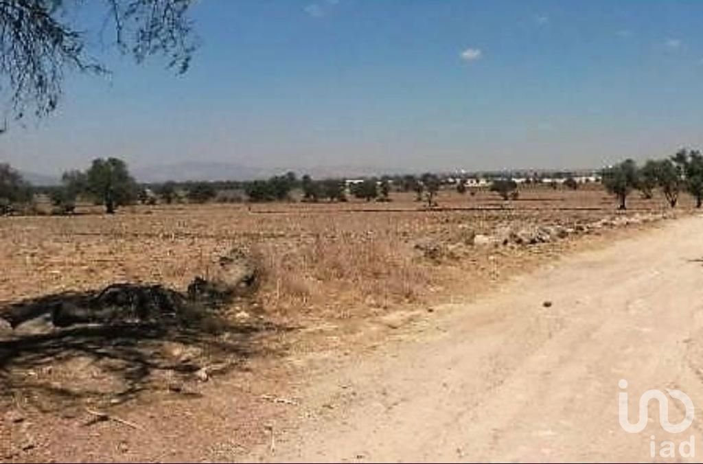 VENDO TERRENO INDUSTRIAL A PRECIO DE OPORTUNIDAD , 10 HECTAREAS EN ZUMPANGO CON USO ICS