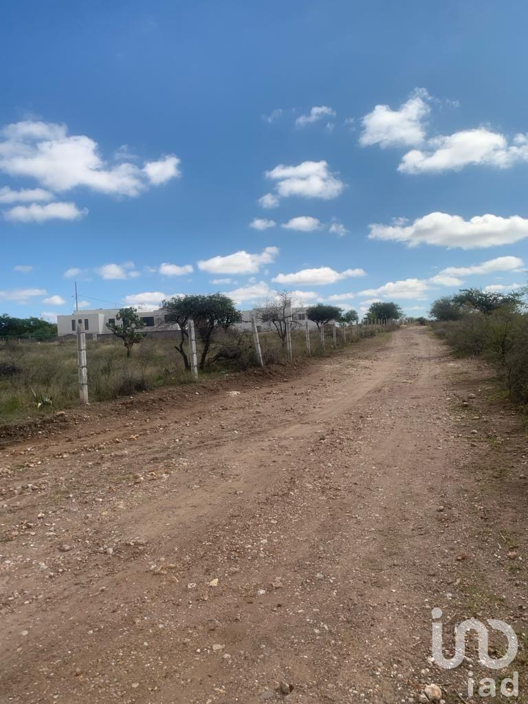 VENTA DE TERRENOS  DE 1,000 MTS. EN CALVILLITO AGUASCALIENTES