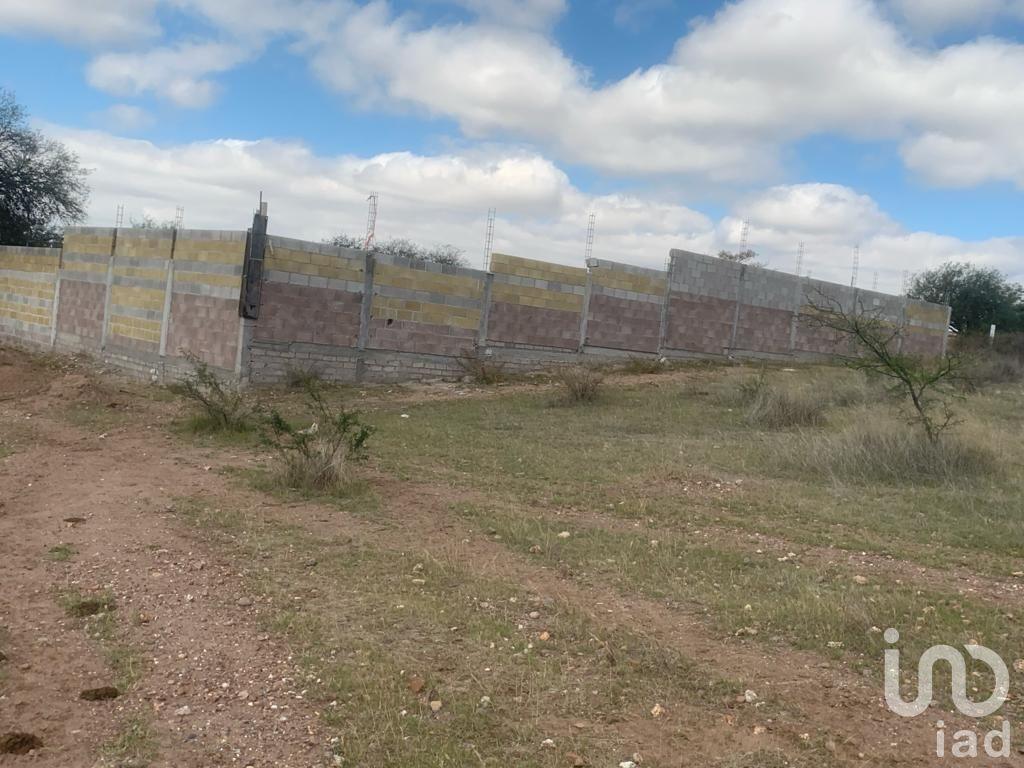 VENTA DE TERRENOS  DE 1,000 MTS. EN CALVILLITO AGUASCALIENTES