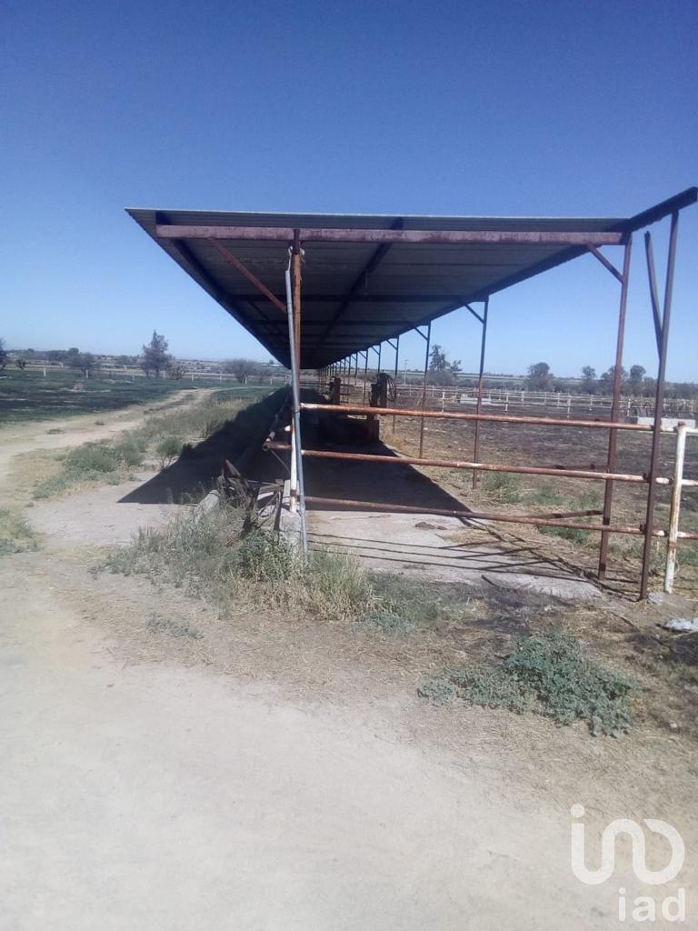 VENTA DE RANCHO LA PROVIDENCIA, AGUASCALIENTES.