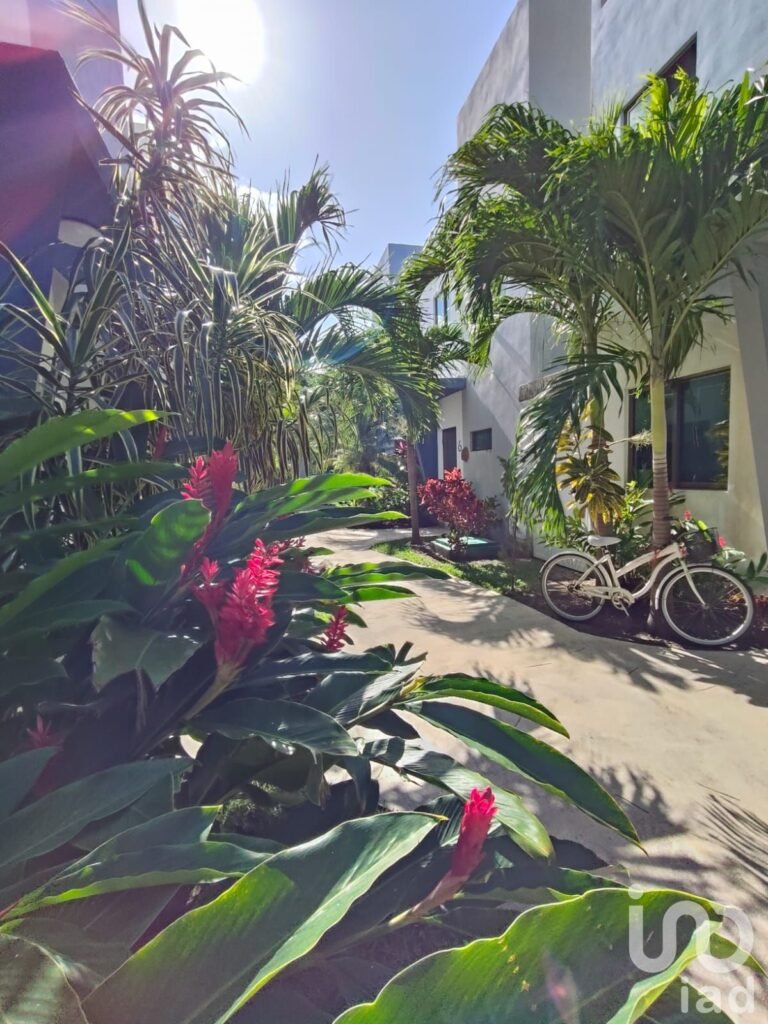 CASA AMUEBLADA EN RENTA RESIDENCIAL EL CIELO