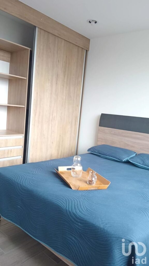 Departamento en venta con Roof Garden Privado en la Colonia Portales