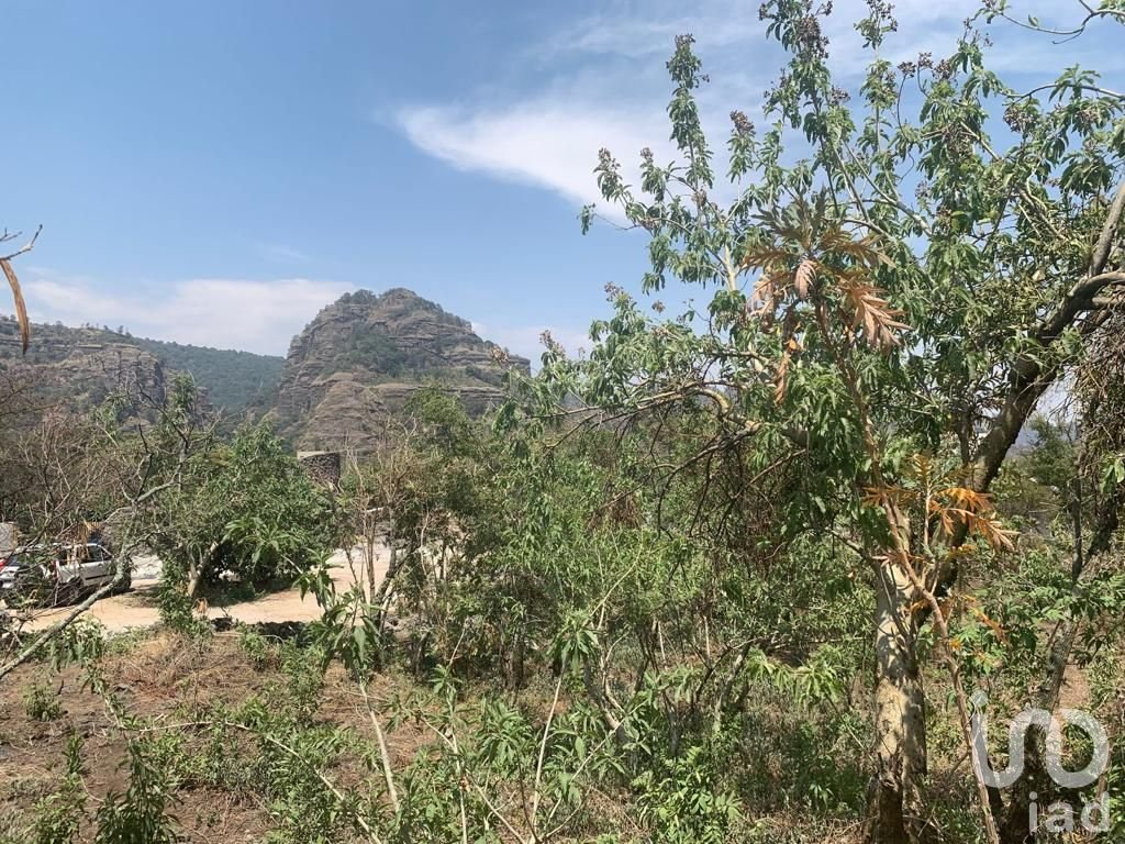 Terreno en VENTA con ELECTRIFICACIÓN SUBTERRÁNEA dentro de un CONJUNTO en TEPOZTLAN