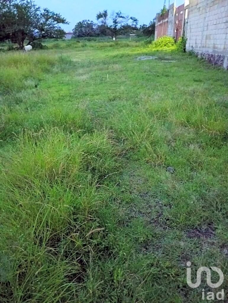 TERRENO EN VENTA XOCHITEPEC