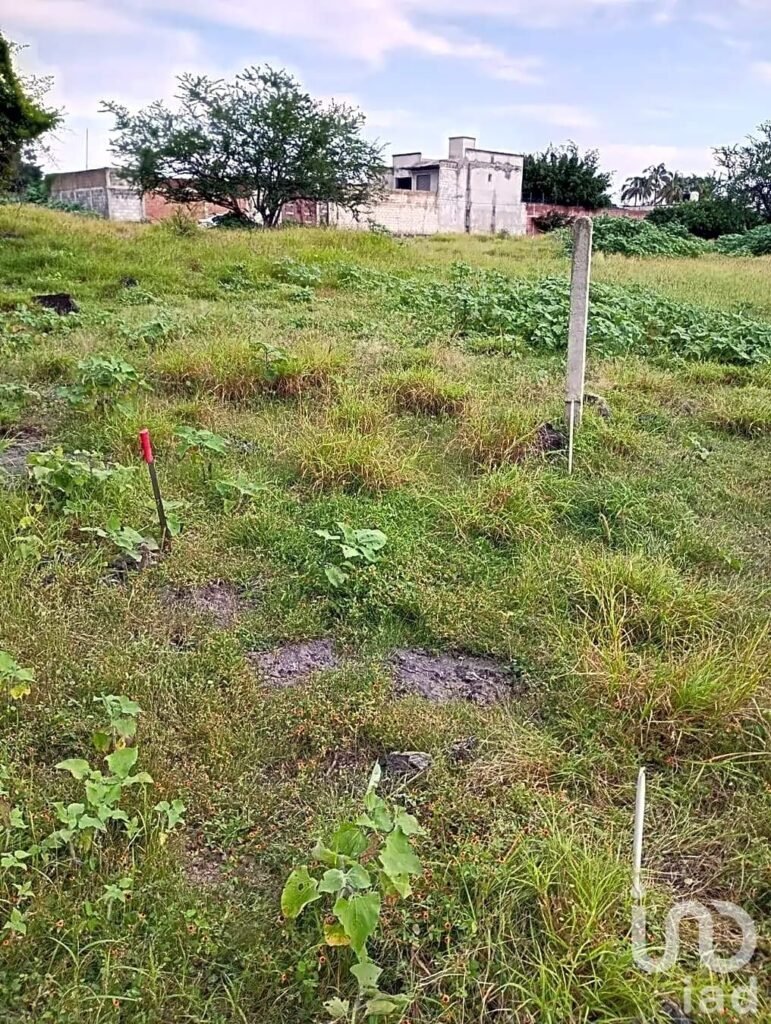 TERRENO EN VENTA XOCHITEPEC