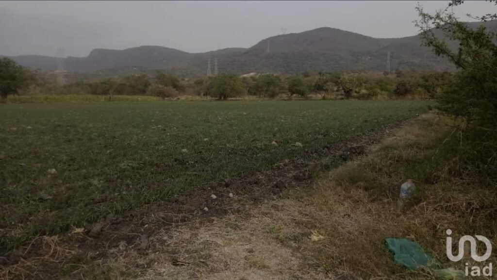 TERRENO OPORTUNIDAD DESARROLLADORES E INVERSIONISTAS, EN EMILANO ZAPATA