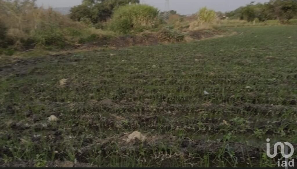 TERRENO OPORTUNIDAD DESARROLLADORES E INVERSIONISTAS, EN EMILANO ZAPATA